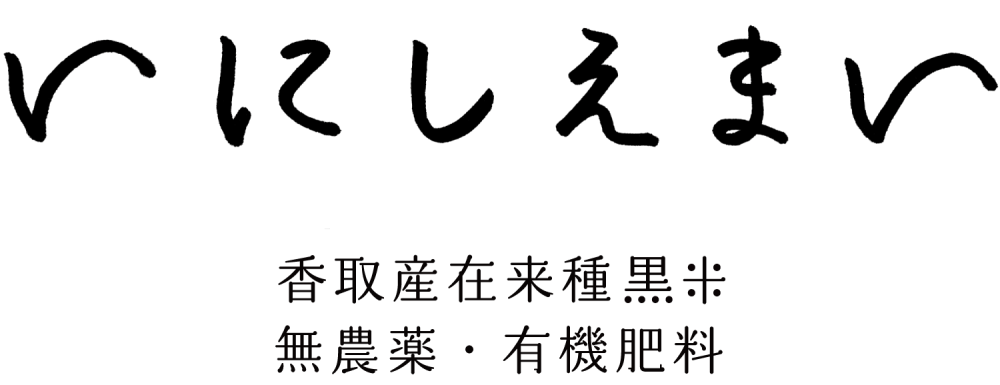 いにしえまい 香取産在来種 古代米 無農薬 有機肥料